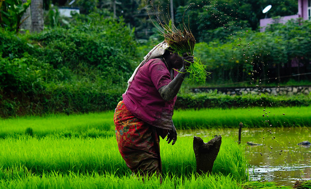 Nikki Theeuwes publishes IISD SDG Knowledge Hub blog on policy coherence & the SDGs in India