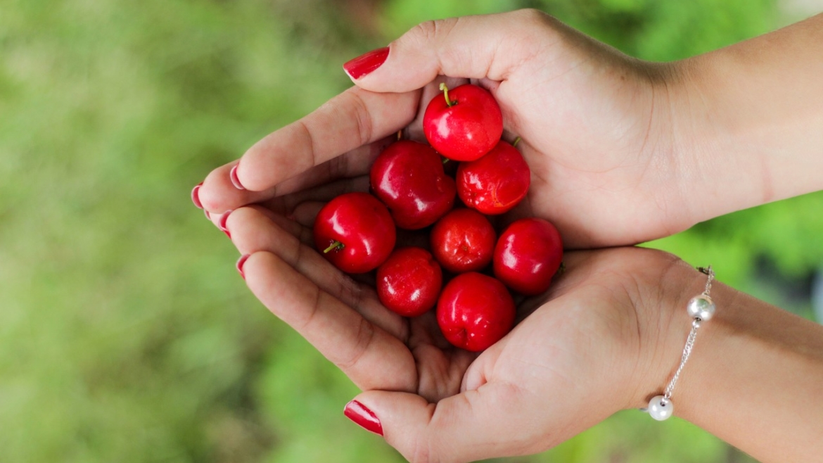 Research shows national governments cherry picking SDGs